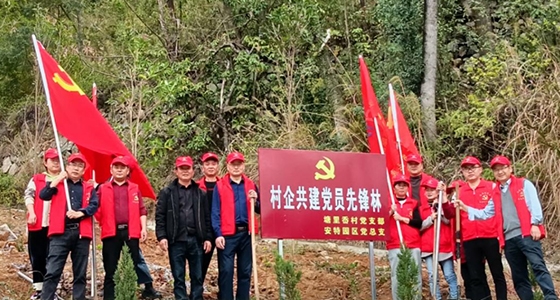 村企共建，，，，，，共植先锋林