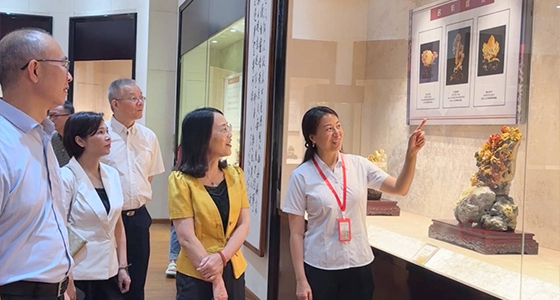 探索东方风范，，，，，尊龙凯时·倪东方艺术博物馆与时代脉搏共振