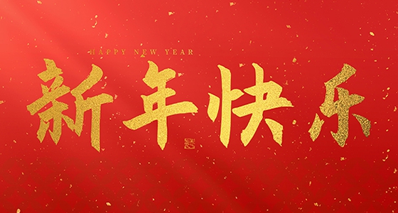 尊龙凯时祝各人2025新年快乐！
